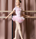 Danse de Paris Sylvia Tutu Pink