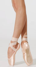 Nikolay Streampointe Pointe Shoes